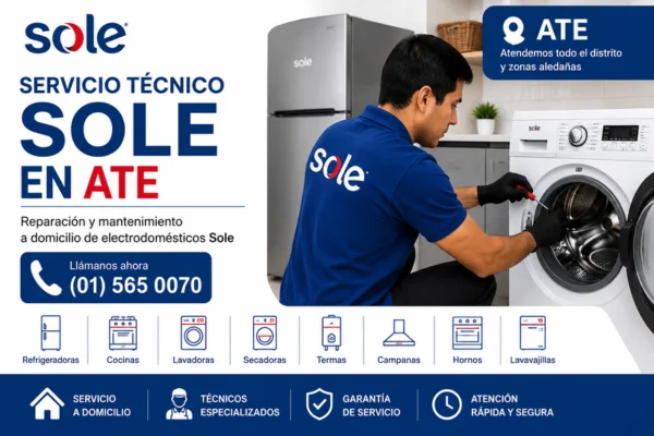 TECNICO SOLE EN ATE