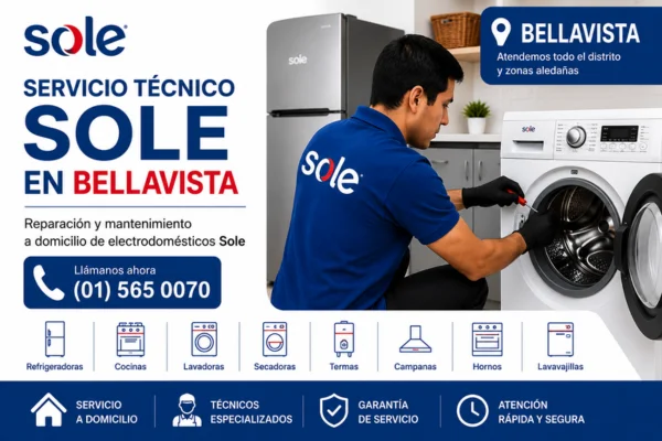 TECNICO SOLE EN BELLAVISTA