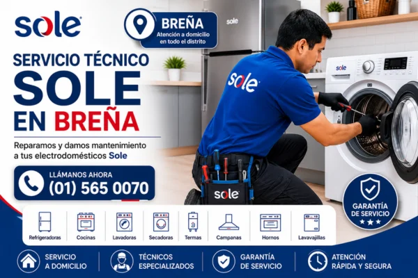 TECNICO SOLE EN BREÑA