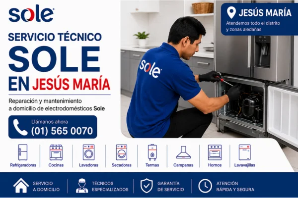 SERVICIO TECNICO SOLE EN JESUS MARIA