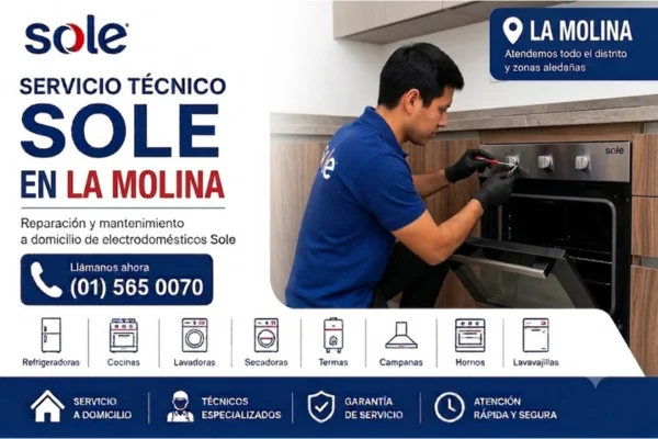 SERVICIO TECNICO SOLE EN LA MOLINA