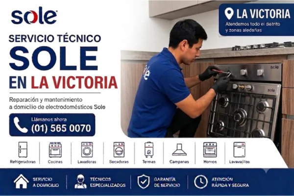 TECNICO SOLE EN LA VICTORIA
